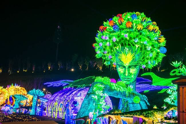 Zigong Lantern Exhibition Înscrieți-vă în zonele naționale de concentrare a c...